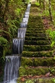 047_Madera_levada w Ribeiro Frio